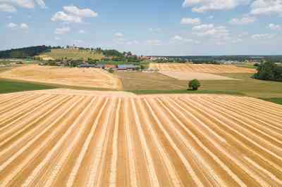 Getreidefeld - © ThomBal - stock.adobe.com